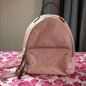 Fossil Pink Backpack with Gold Accents